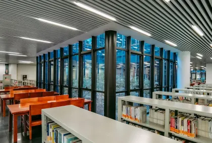 Casino Lion Wins Mobile App